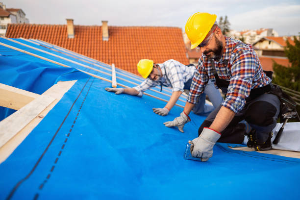 Best Gutter Installation and Repair  in Flora, IL